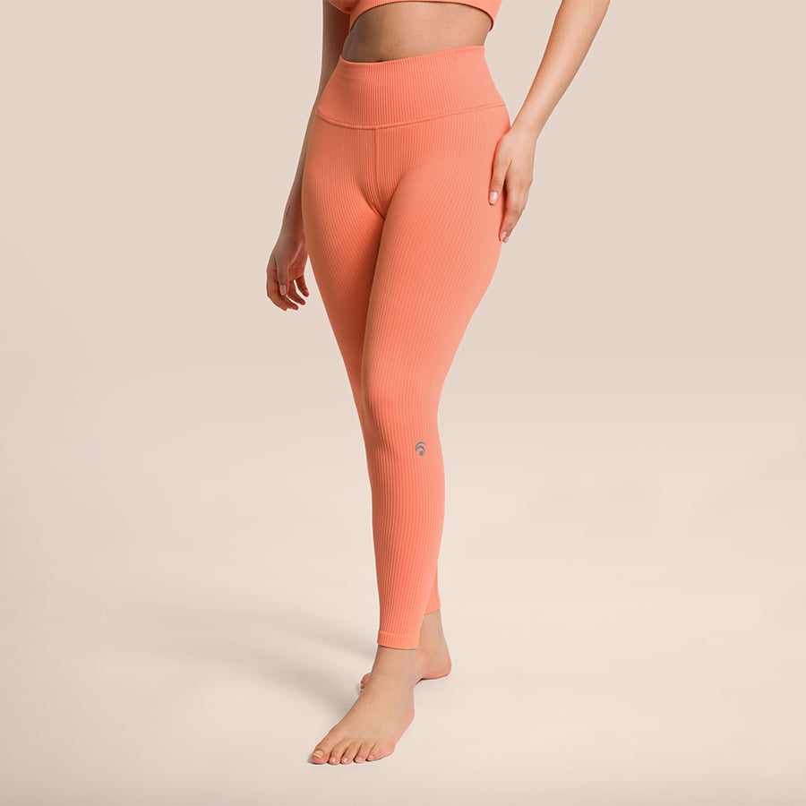 LEGGINGS DA DONNA MODELLANTI UNICA TAGLIA DA 40 A 48 DA SPORT E Palestra F3802 8022044004501 LEGGINGS DA DONNA MODELLANTI UNICA TAGLIA DA 40 A 48 DA SPORT E Palestra F3802 8022044004501