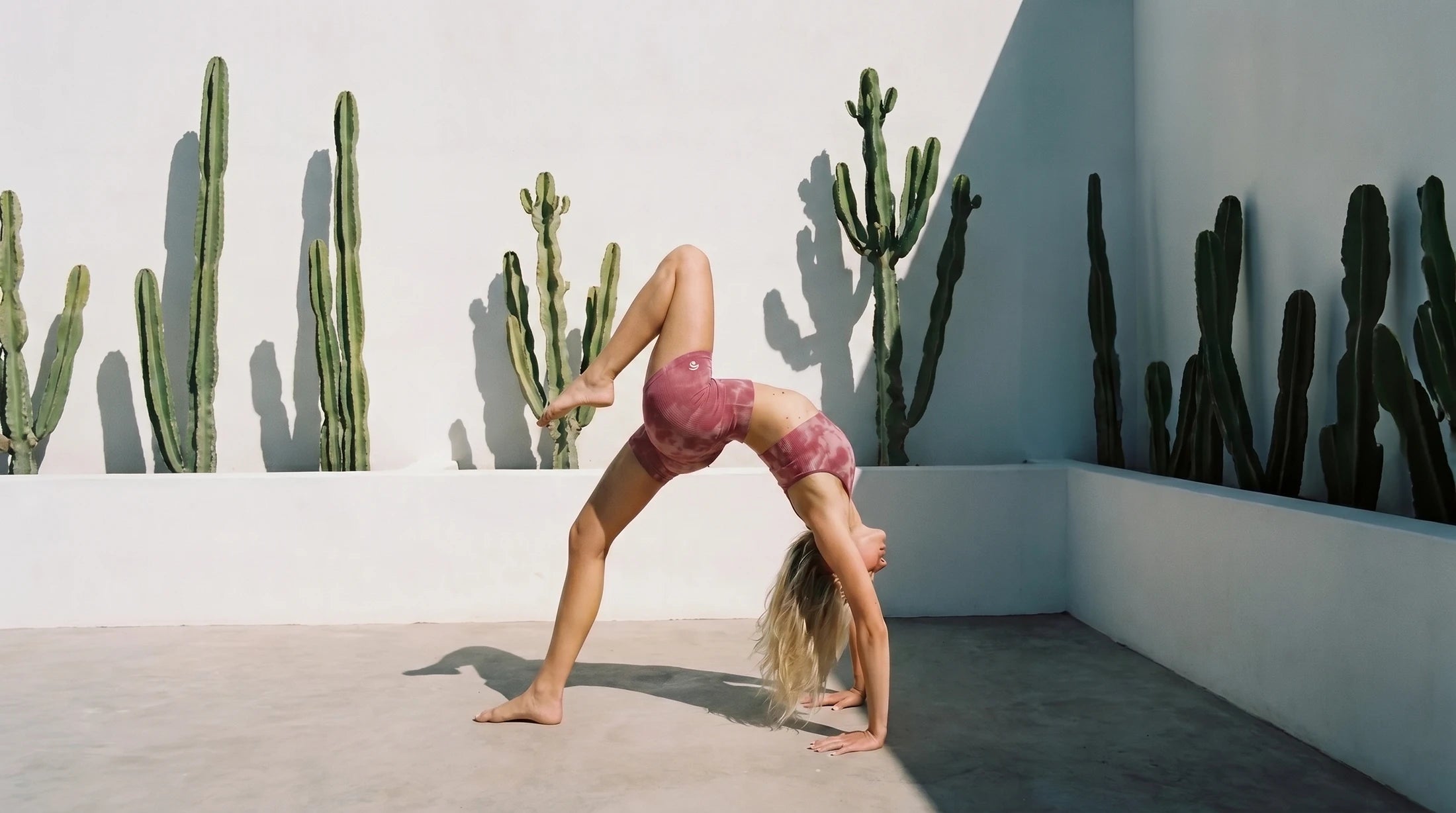 yoga_OA_161-variant.webp
